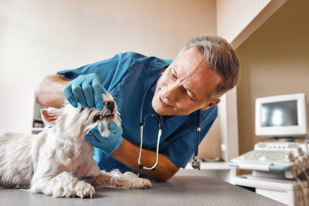 Best Walk-In Emergency Dentist in Big Stone Gap, VA